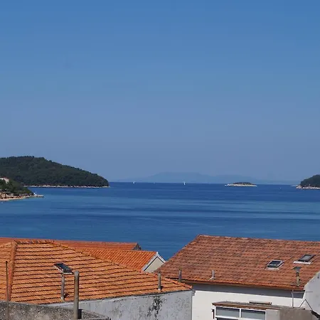Art Apartment Vela Luka